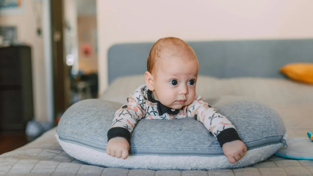 baby nest supplier